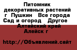 Питомник декоративных растений г. Пушкин - Все города Сад и огород » Другое   . Алтайский край,Алейск г.